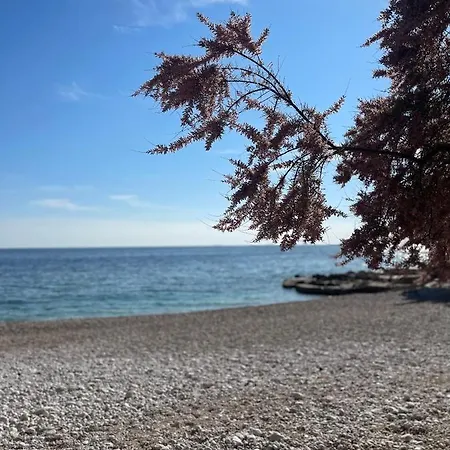 Ivon イバン・ドーラッツ